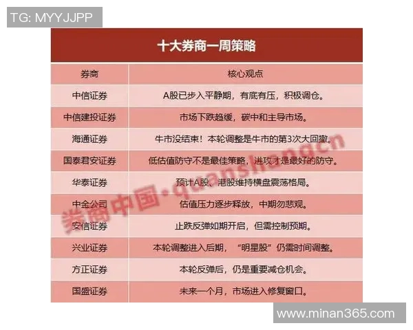 上海网球队防守策略分析与比赛表现的得失评估