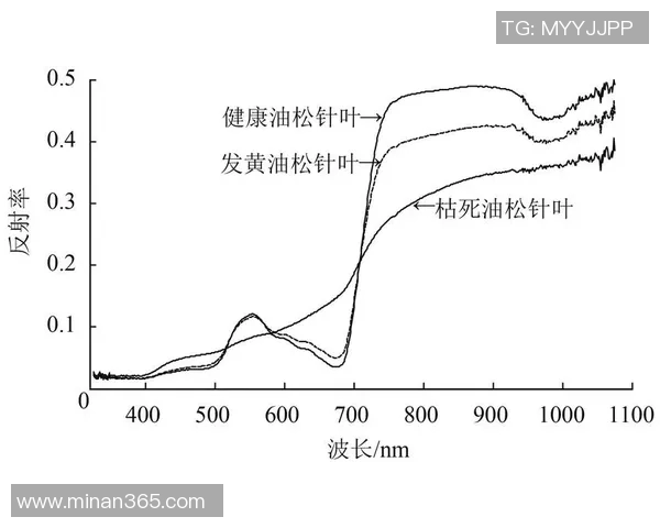 重庆网球队灵活性分析及其对比赛表现的影响探讨
